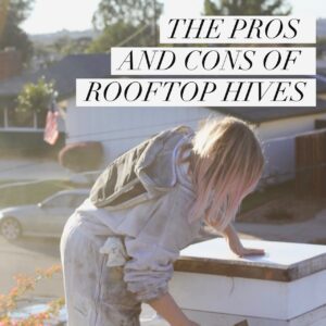 THE PROS AND CONS OF ROOFTOP HIVES